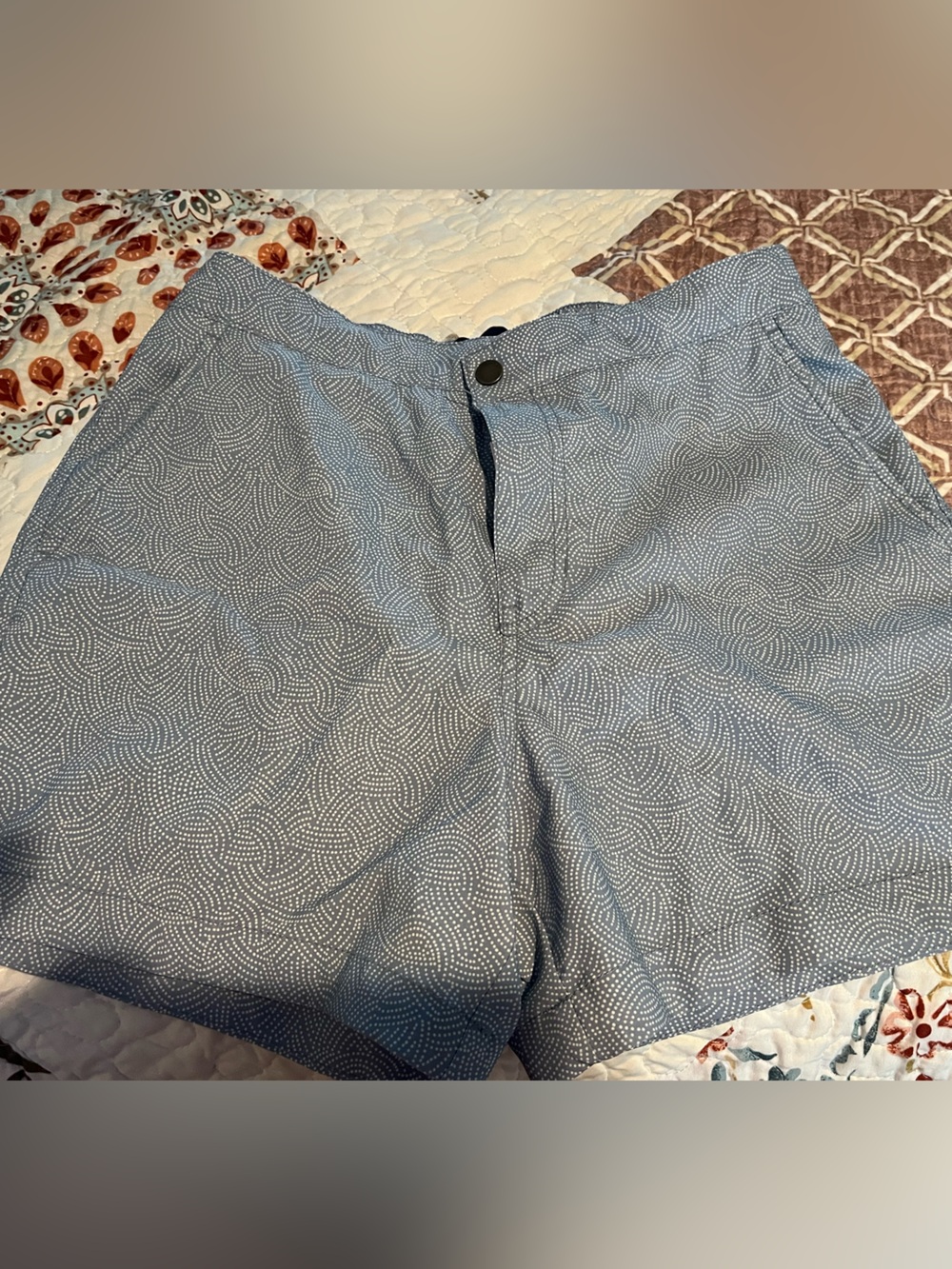 Abercrombie & Fitch Light Blue Patterned Hybrid Shorts